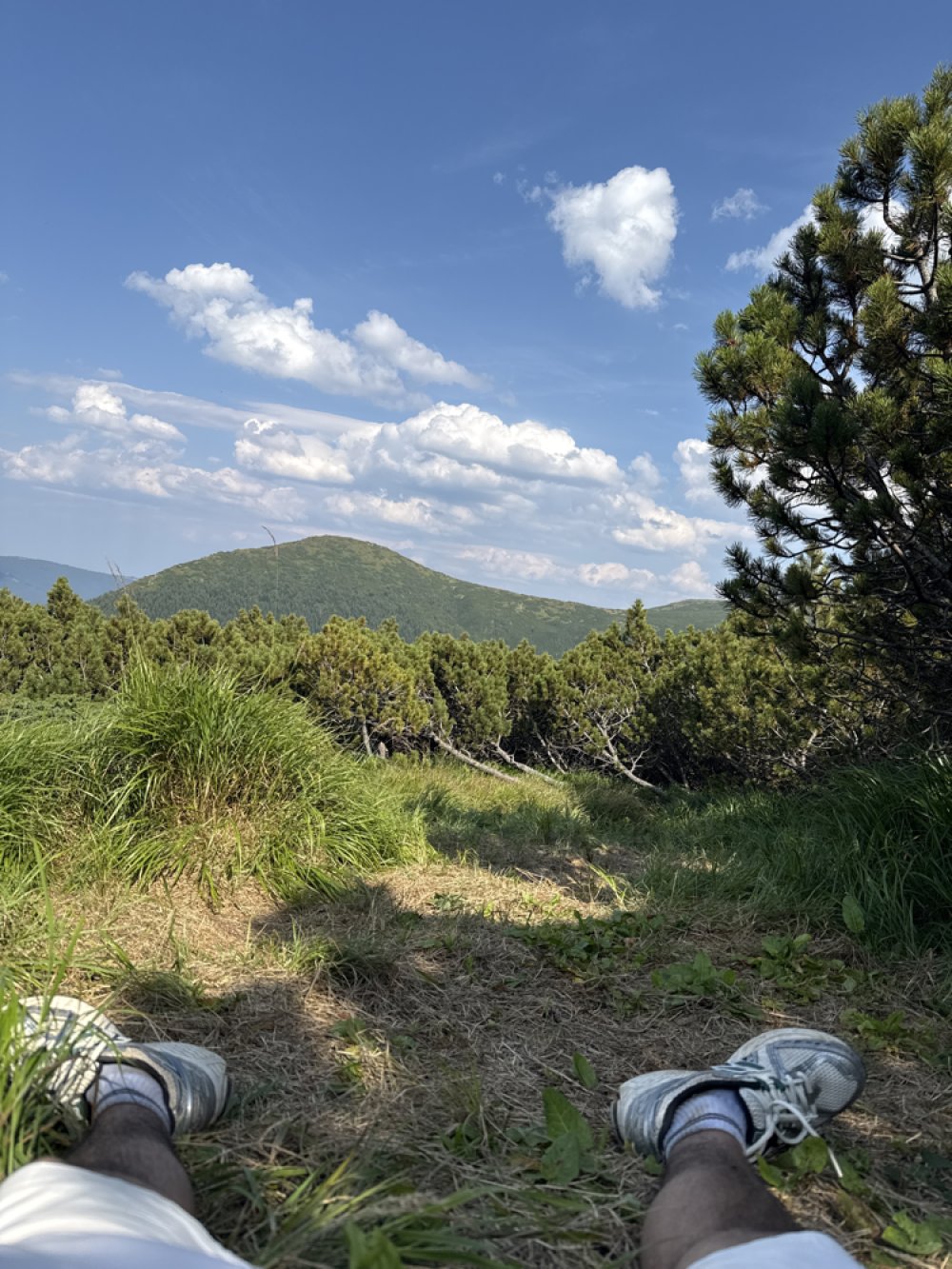 Nice place
