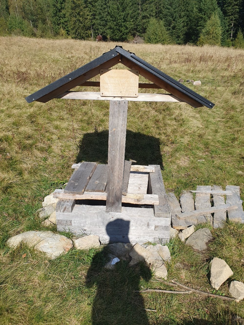 Криниця