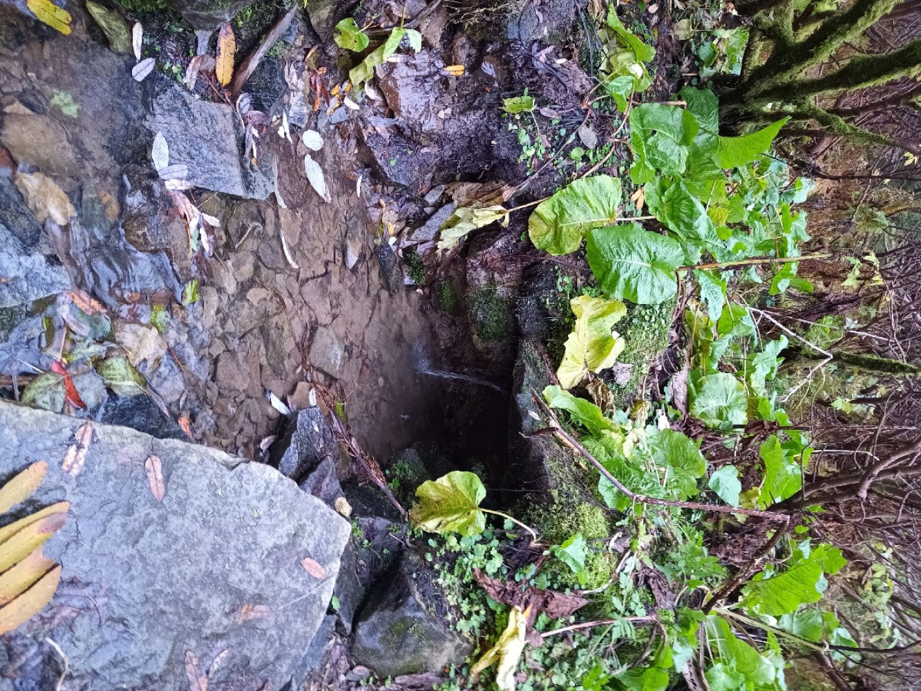Wasserquelle