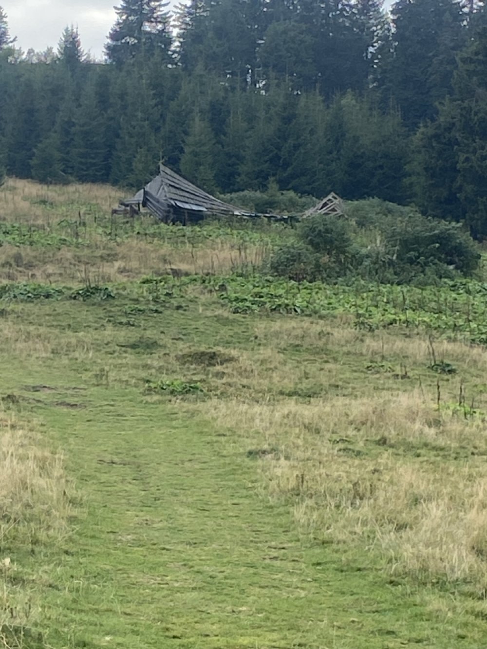 Shelter or hut