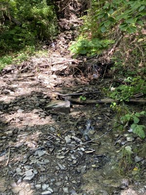 Потужний струмок 
06.09.23