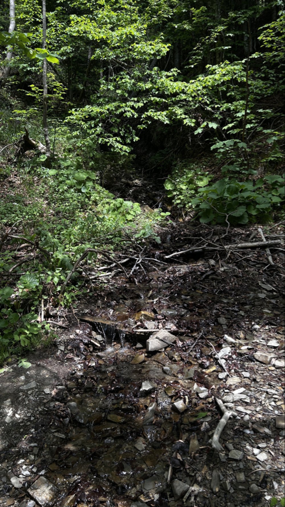 Потічок