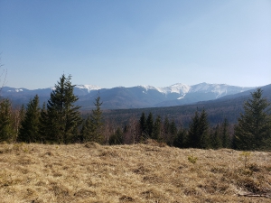 Панорама з полонини Плаєк