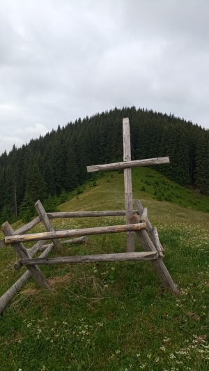 Вид в сторону вершини з полонини Бубенської.