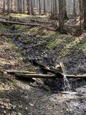 Потужне джерело, є стакан щоб набирати, смачна вода 
Опубліковано 
30.04.2023