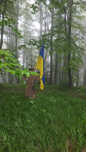 Тетерівка