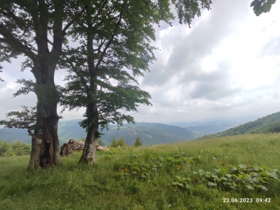 Гарний краєвид