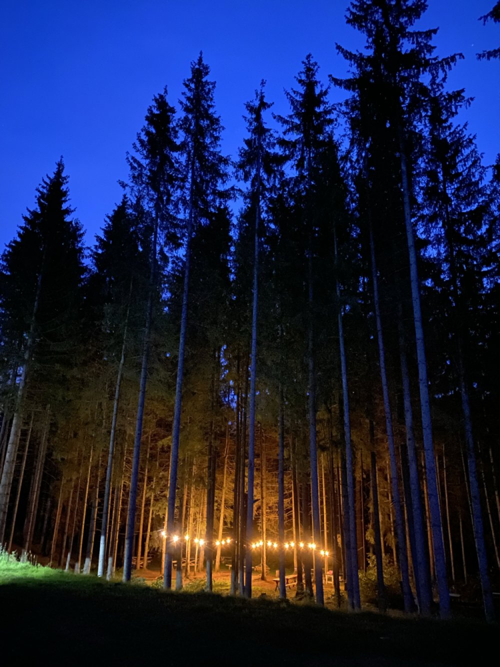 Кемпінг біля Говерли