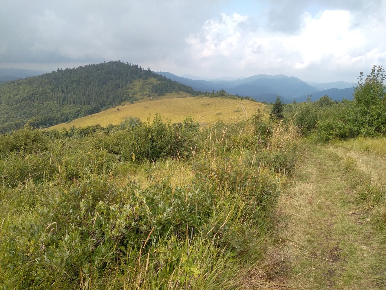 Росохацькі полонини