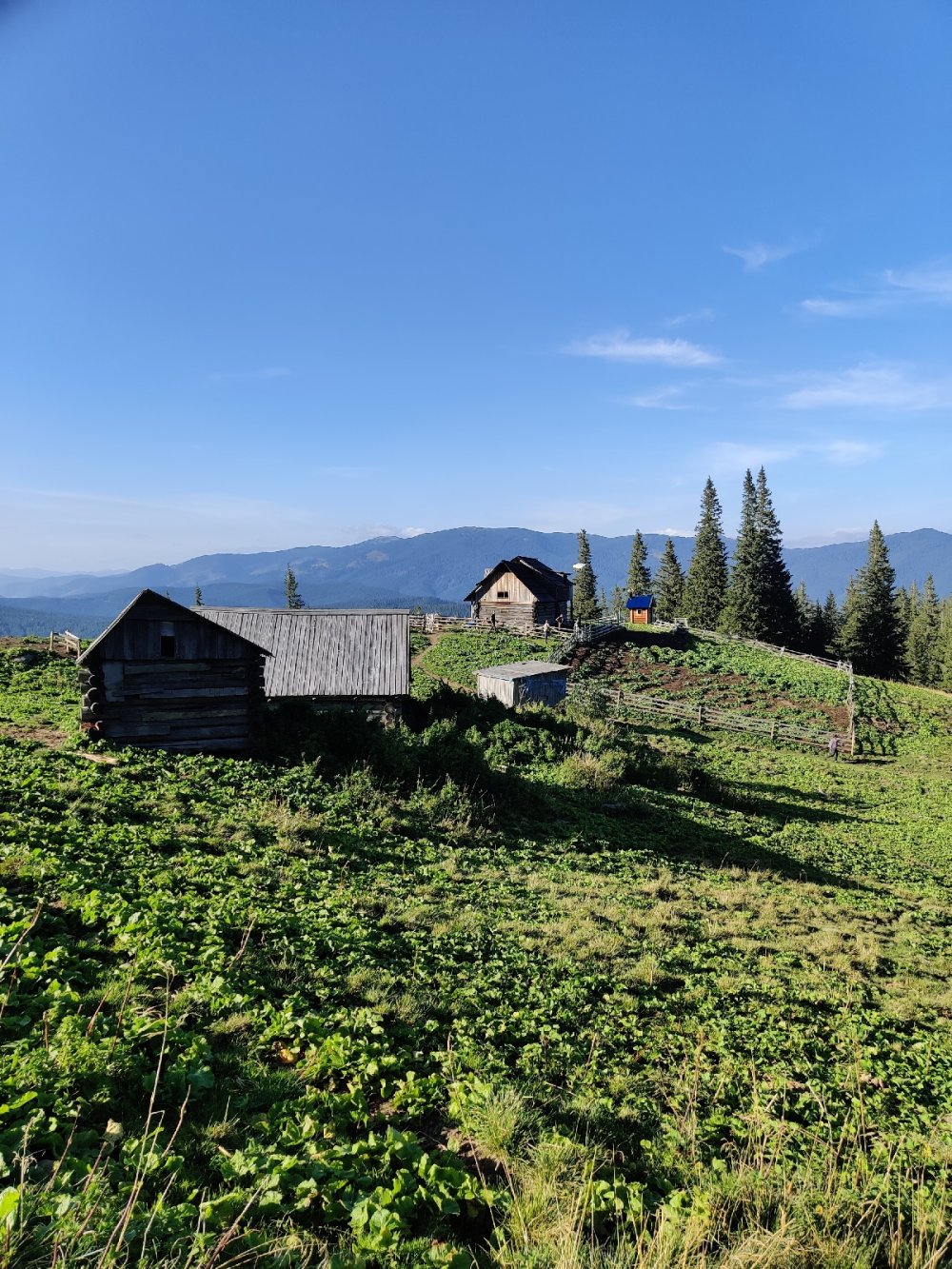 Сироварня