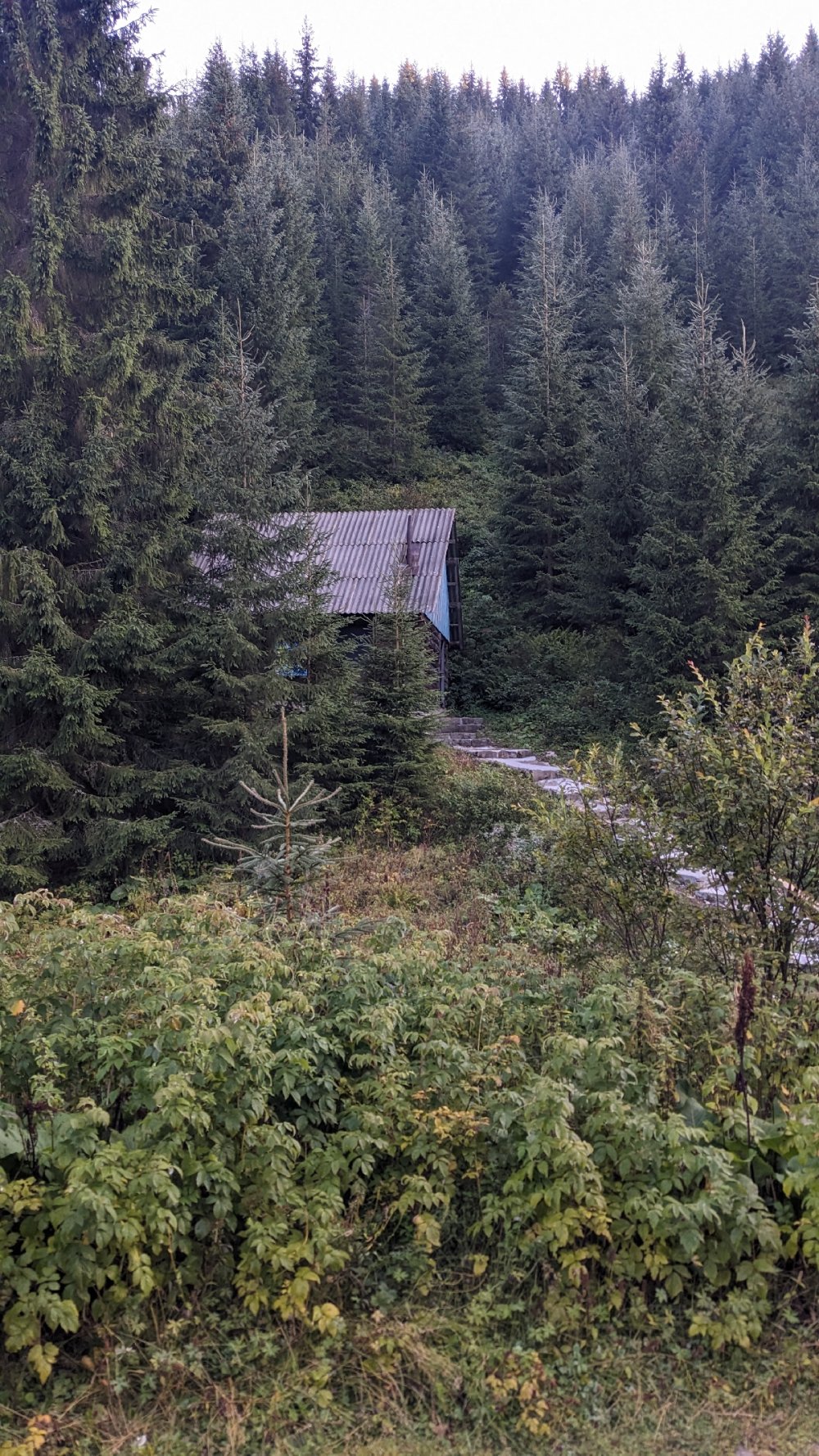 Shelter or hut