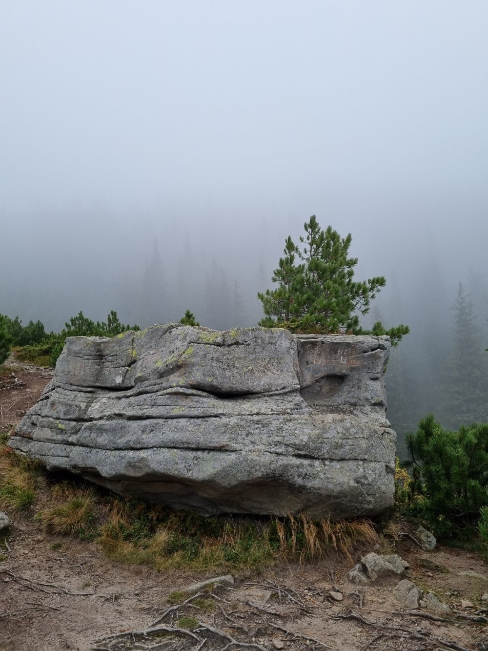 Камень 