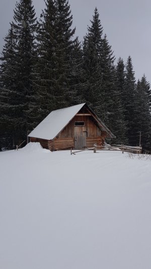 Курна, нари для 4 чоловік, великі шпари в стінах, під дахом, дуже продуває.