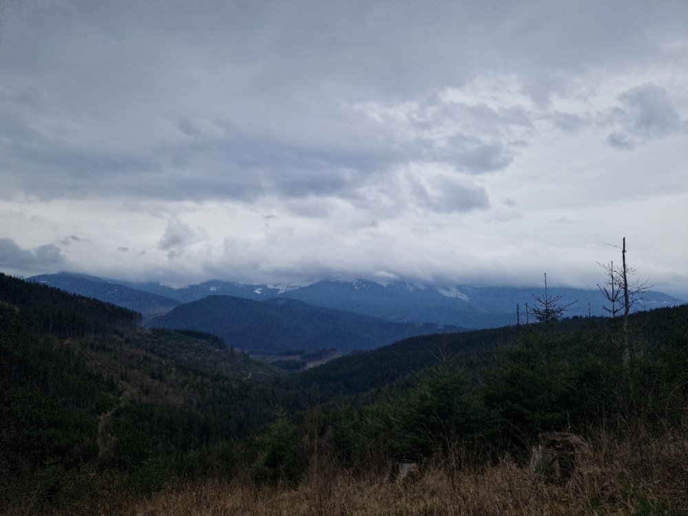 Панорама