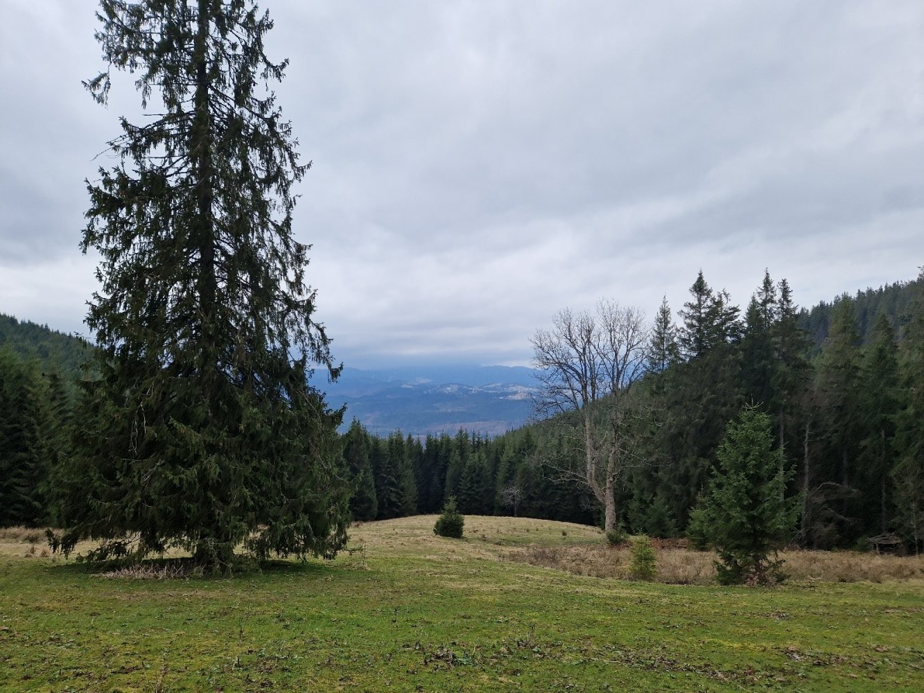 Панорама