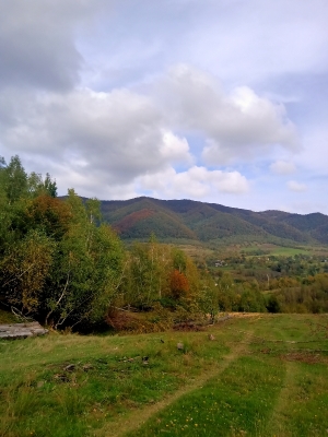 Сірок