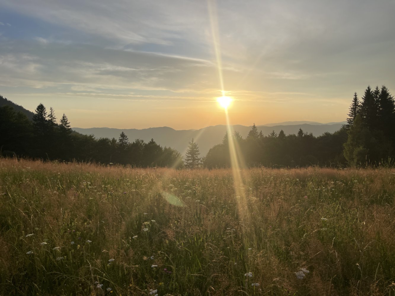 Місце для ночівлі