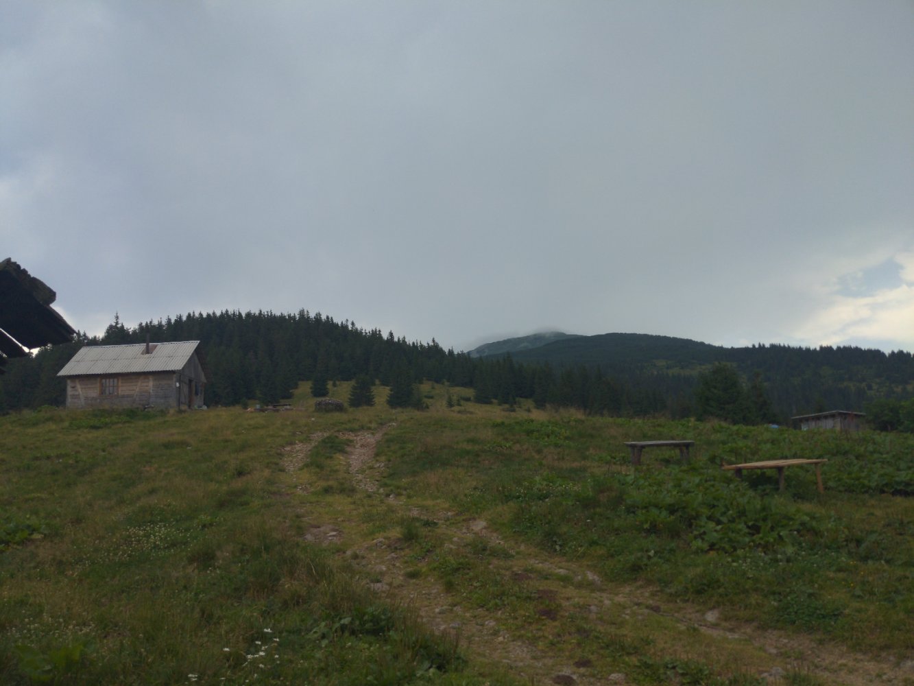 Вівчарня