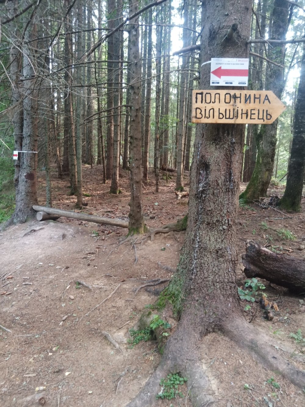 Місце для перевалу
