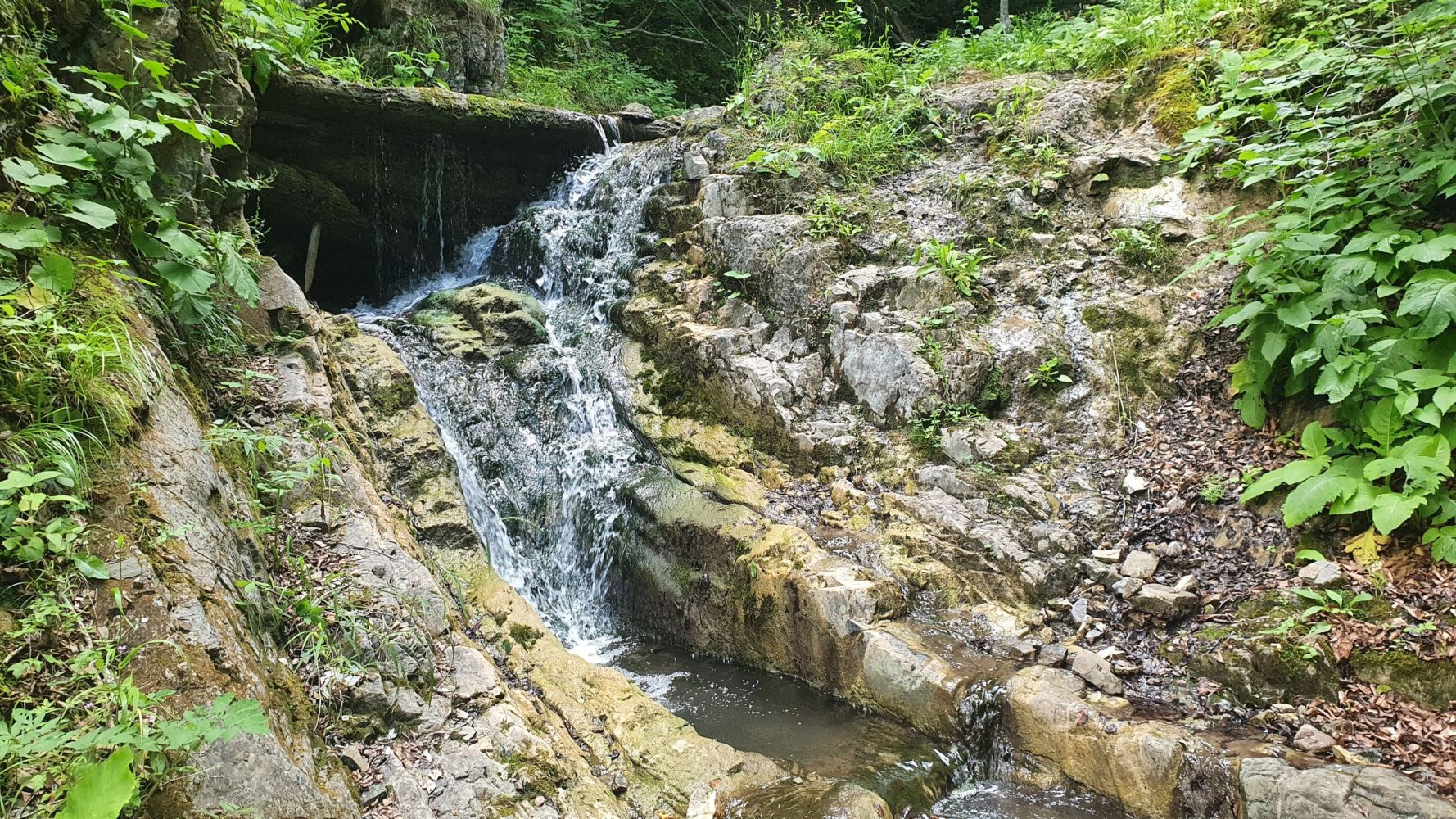 Водоспад Студений Потік