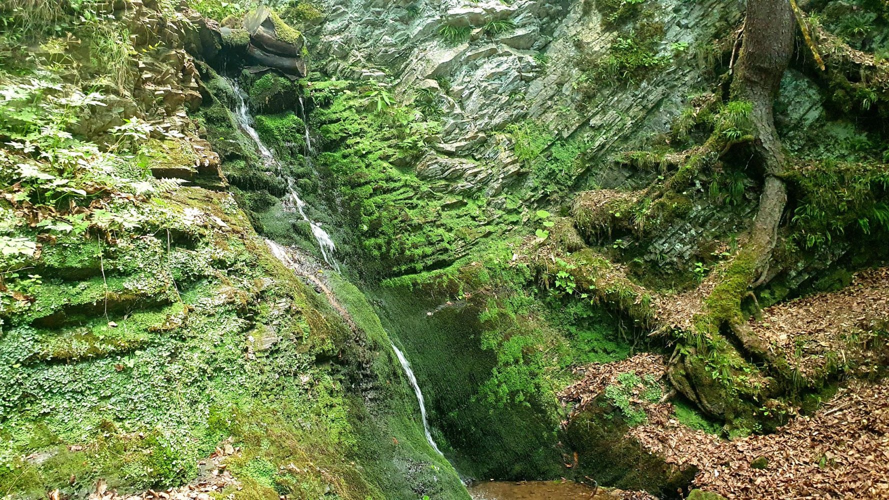 Водоспад Якубівка