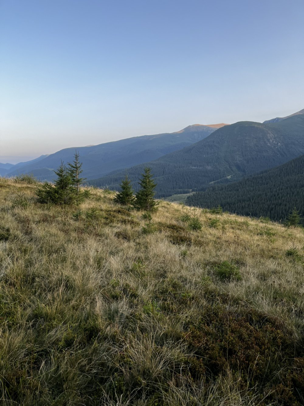 Місце ночівлі