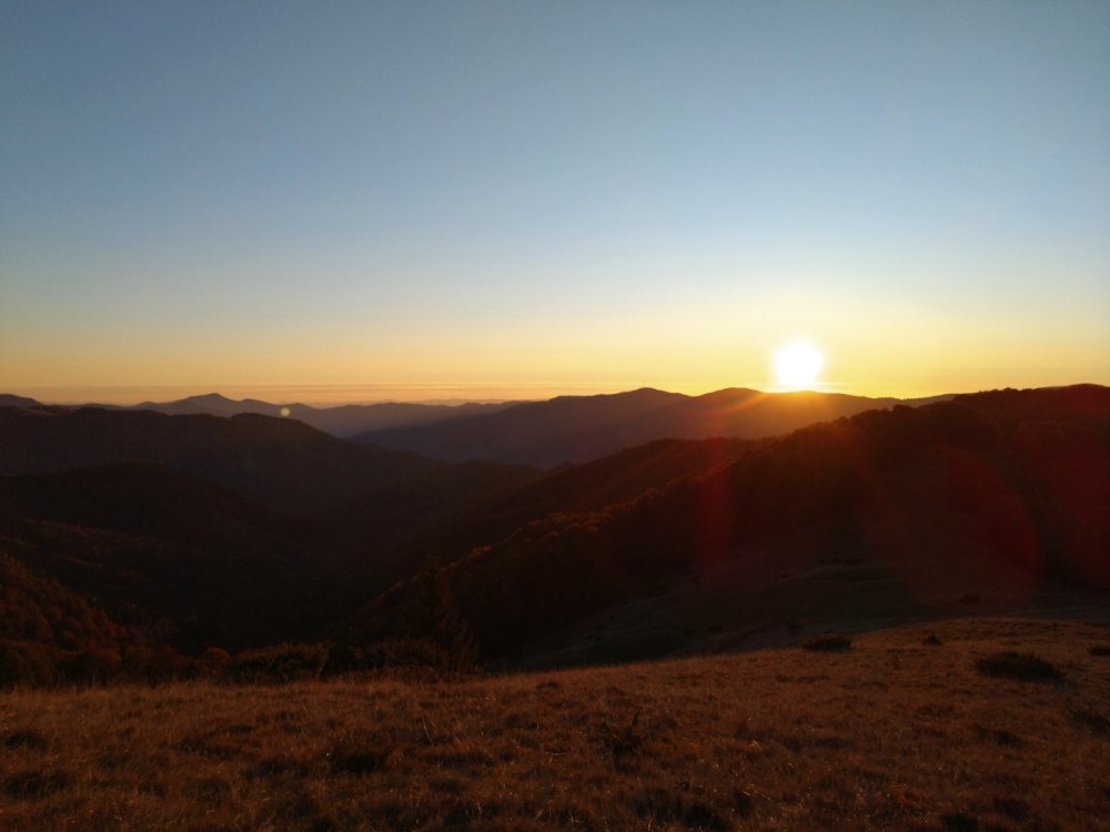 Краевид 