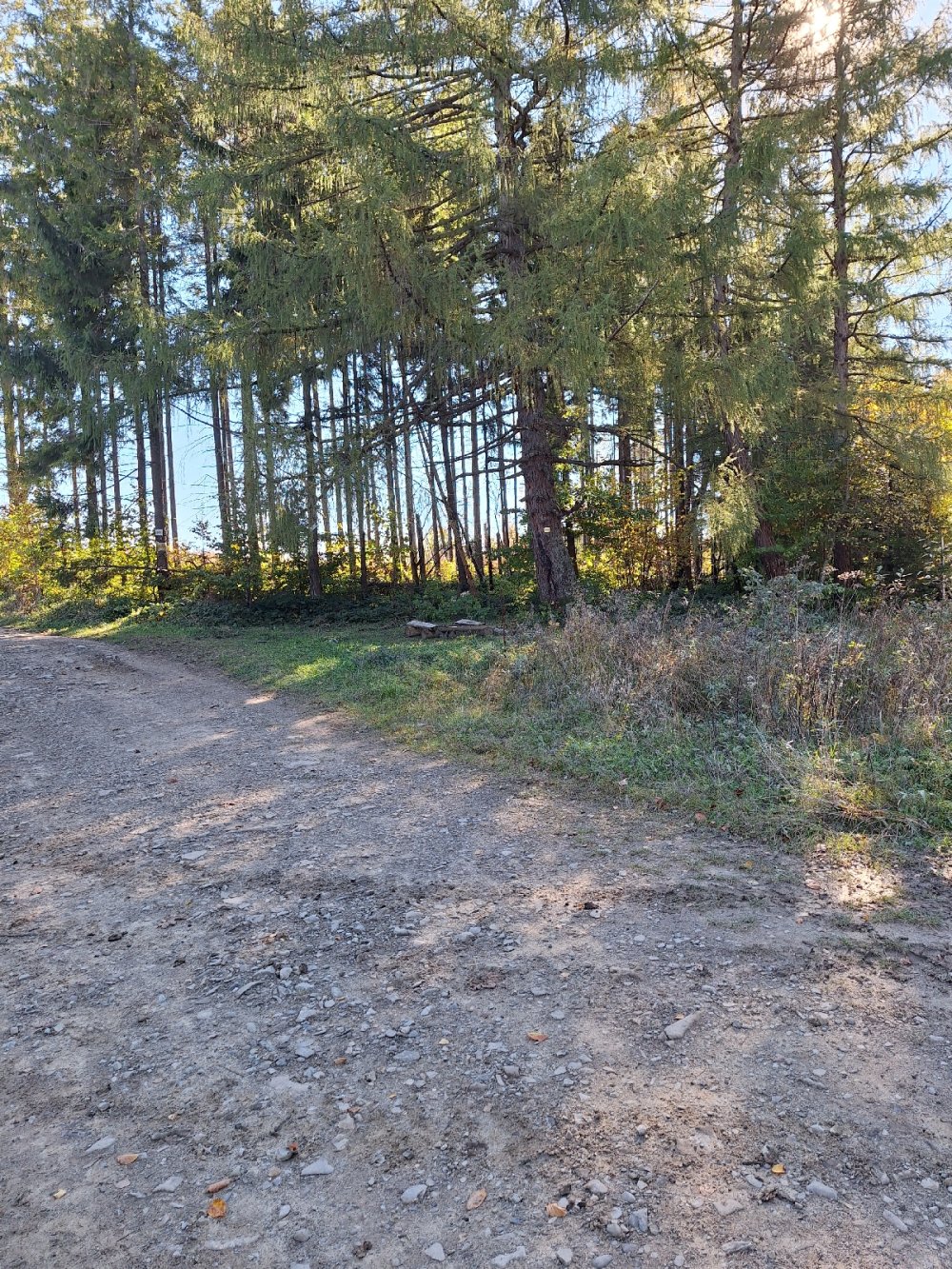 Місце для привалу