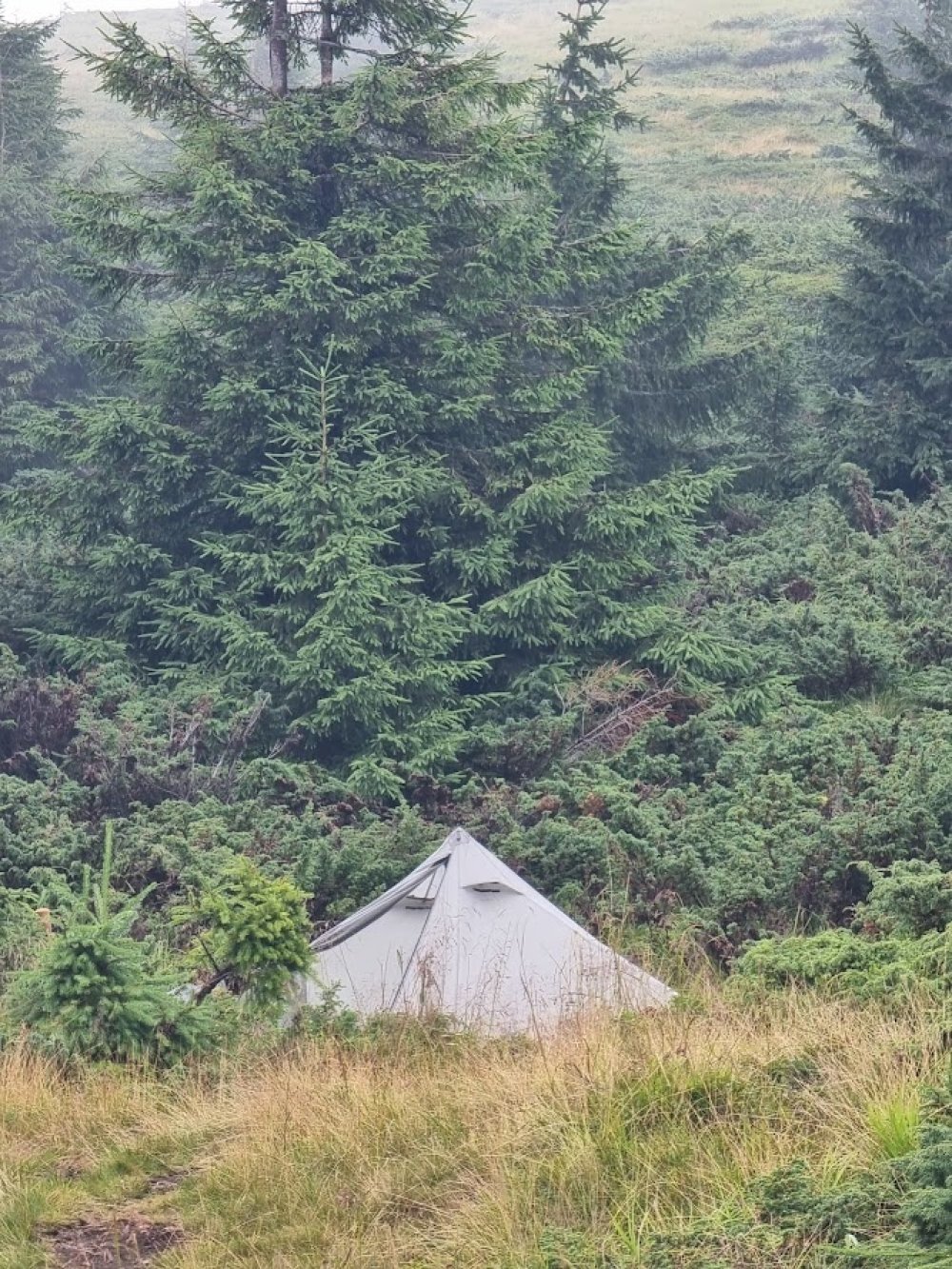 Campsite