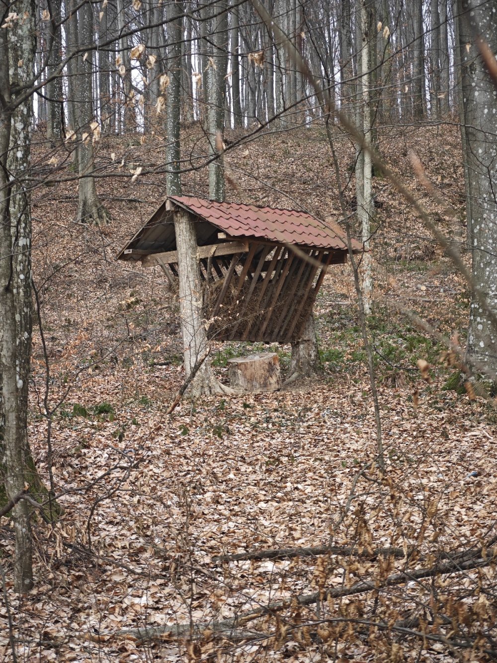 Кормушка для оленів 
