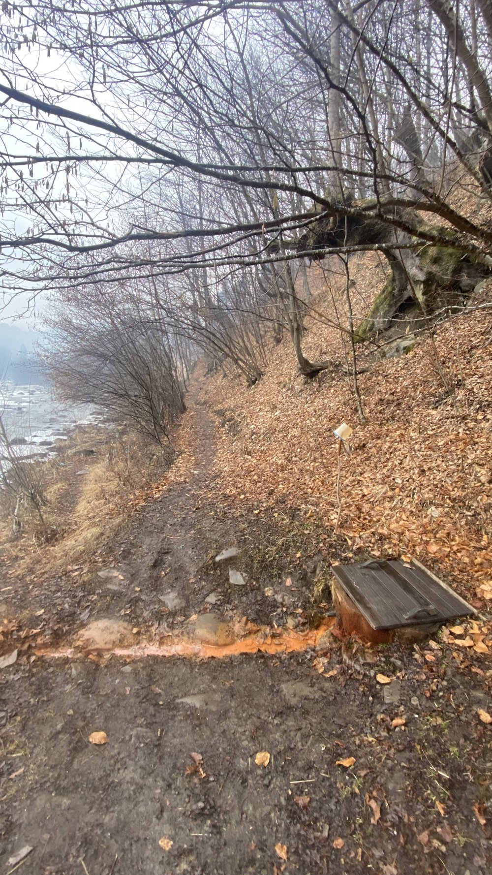 Джерело багате на вміст заліза