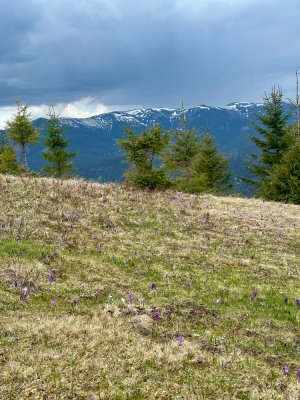 Вид на Братківський хребет