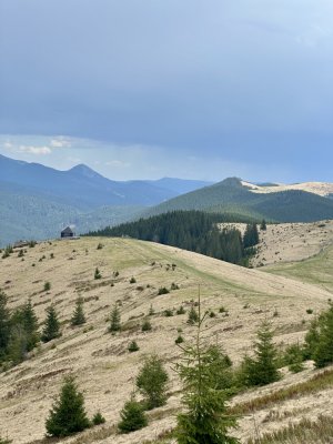 Вид на полонину на г. Довгій