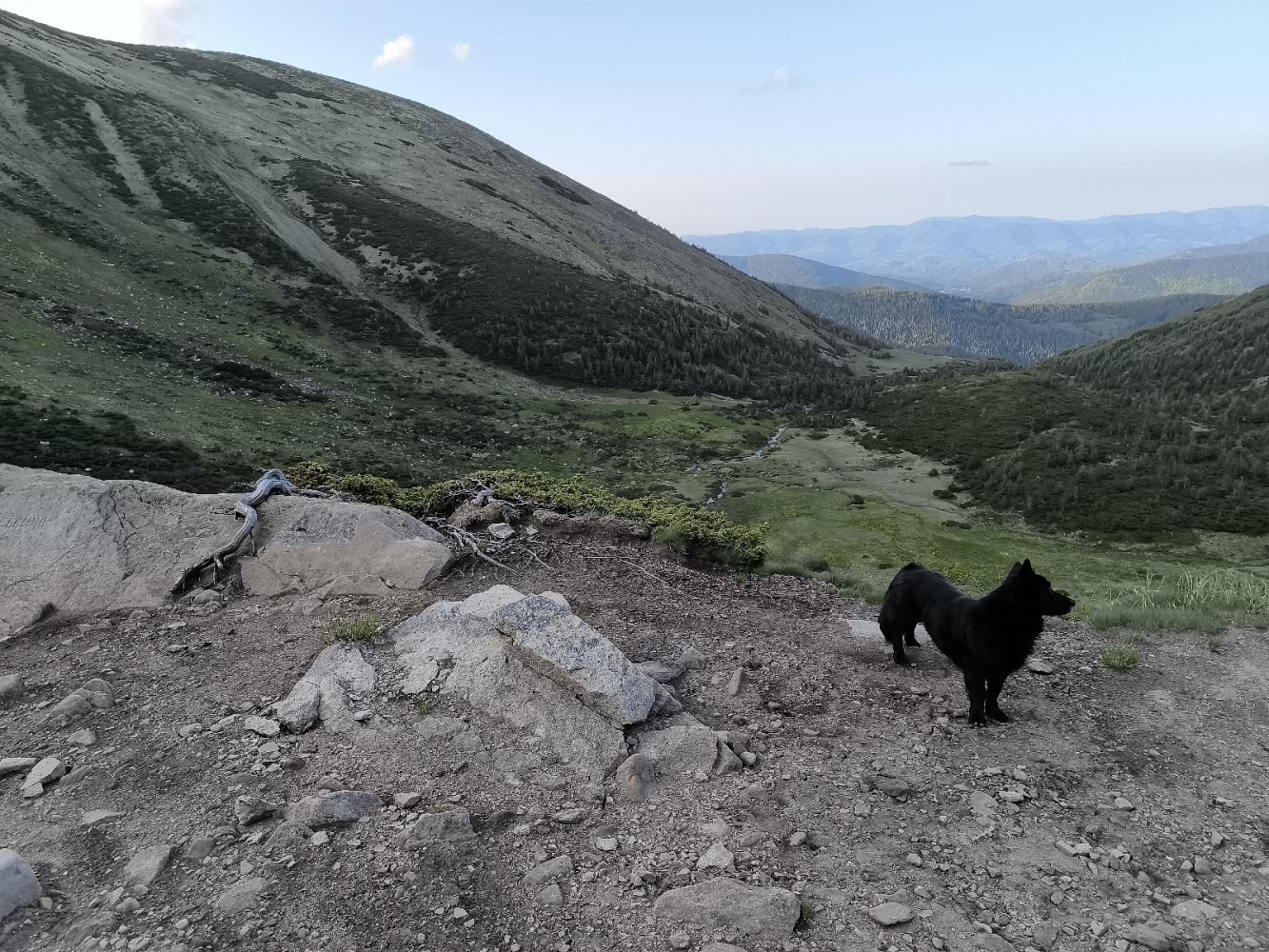 Гарні види