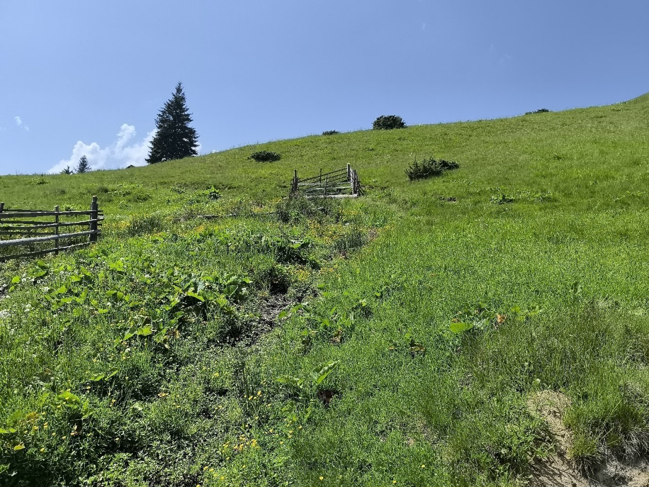 Water Source