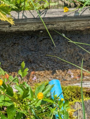 Немає води питної
Хіба мити руки, не питна, застояна
Є хатинка з водою, але технічною