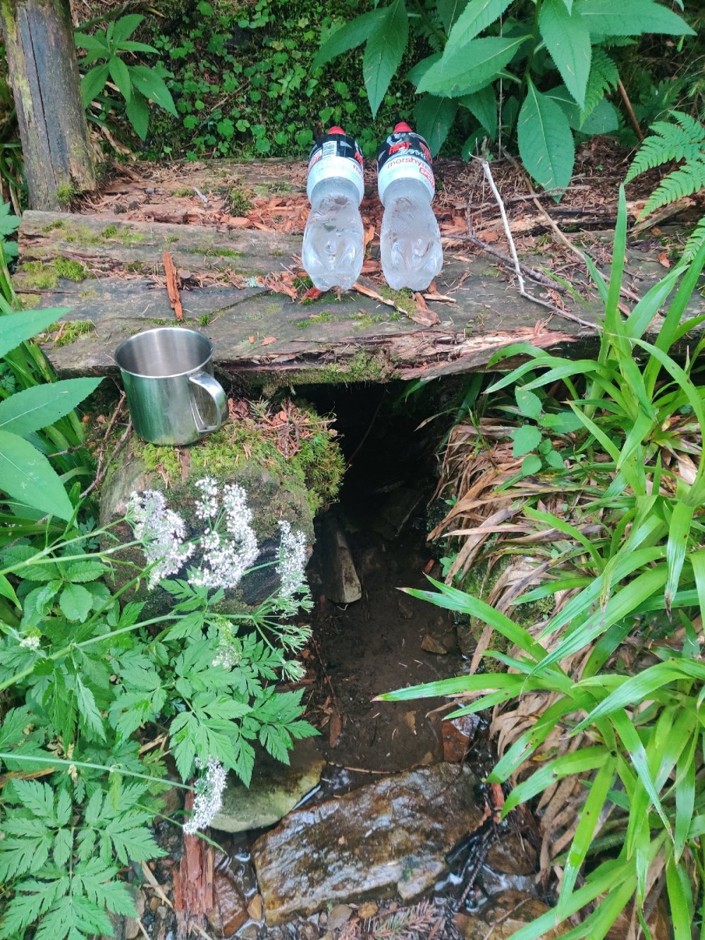 Water Source