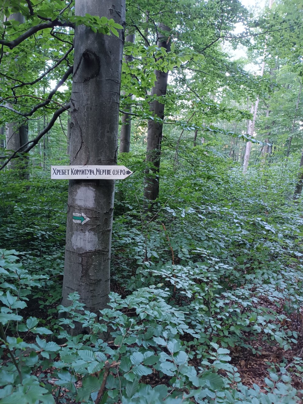 Вказівник