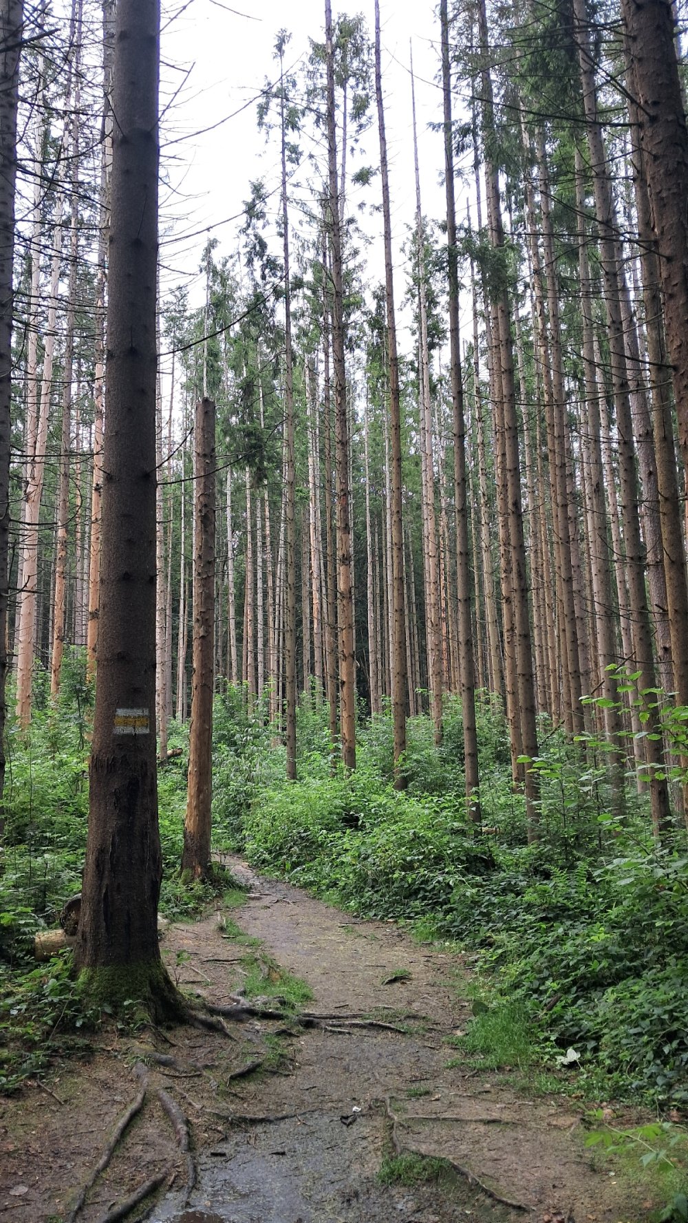Альтанка на роздоріжжі