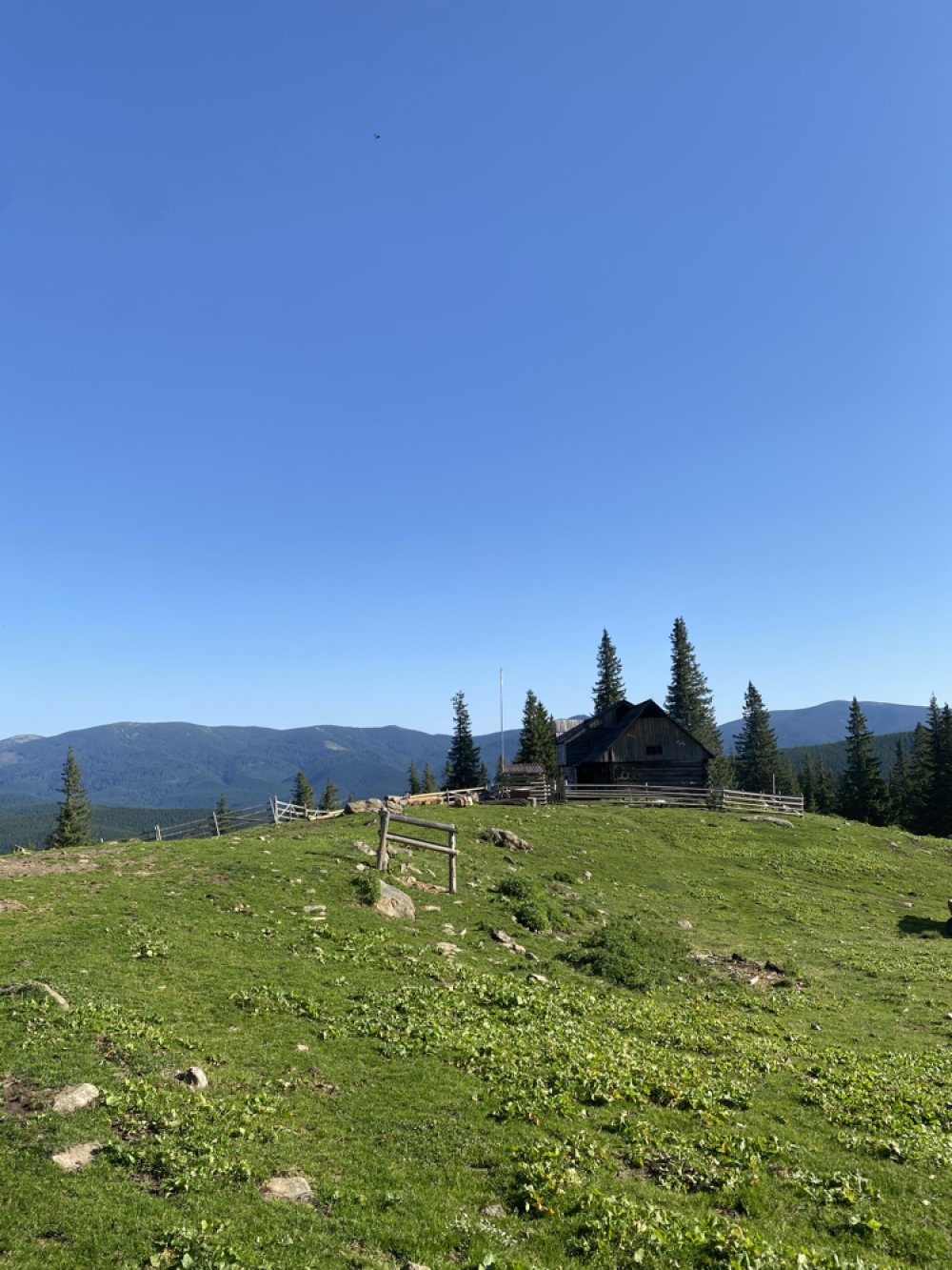 Сироварня