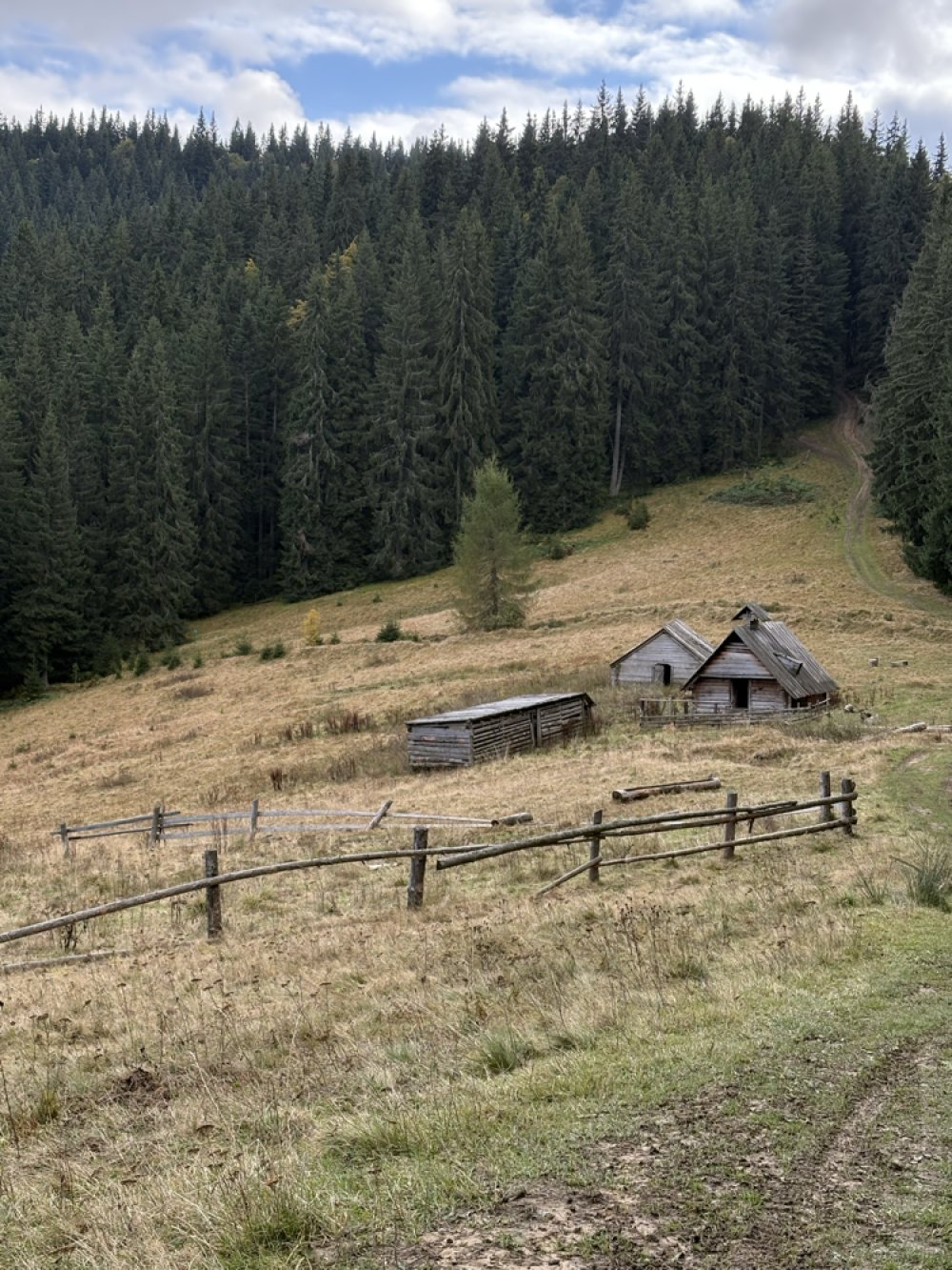 Полонина Буковинка