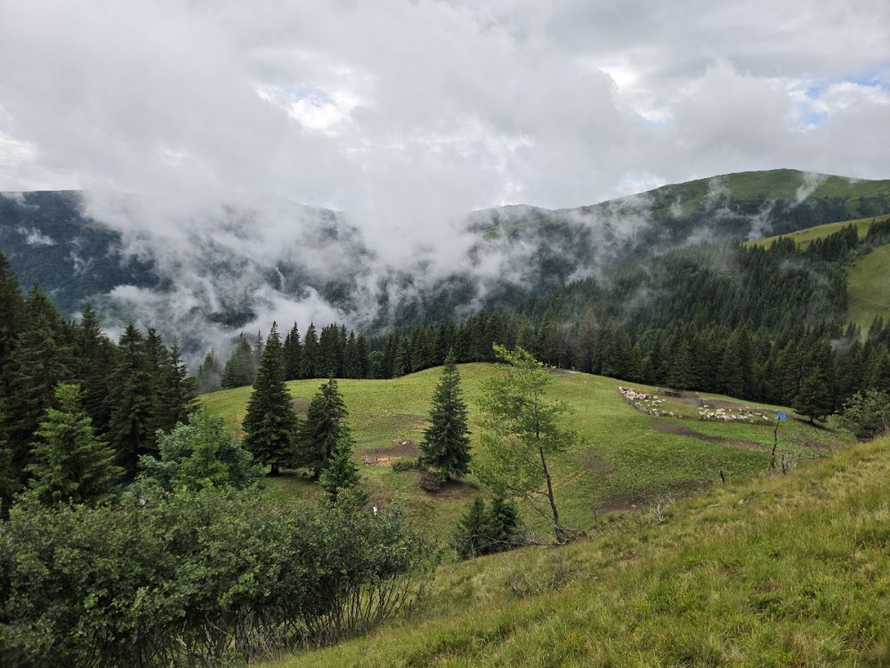 Сироварня