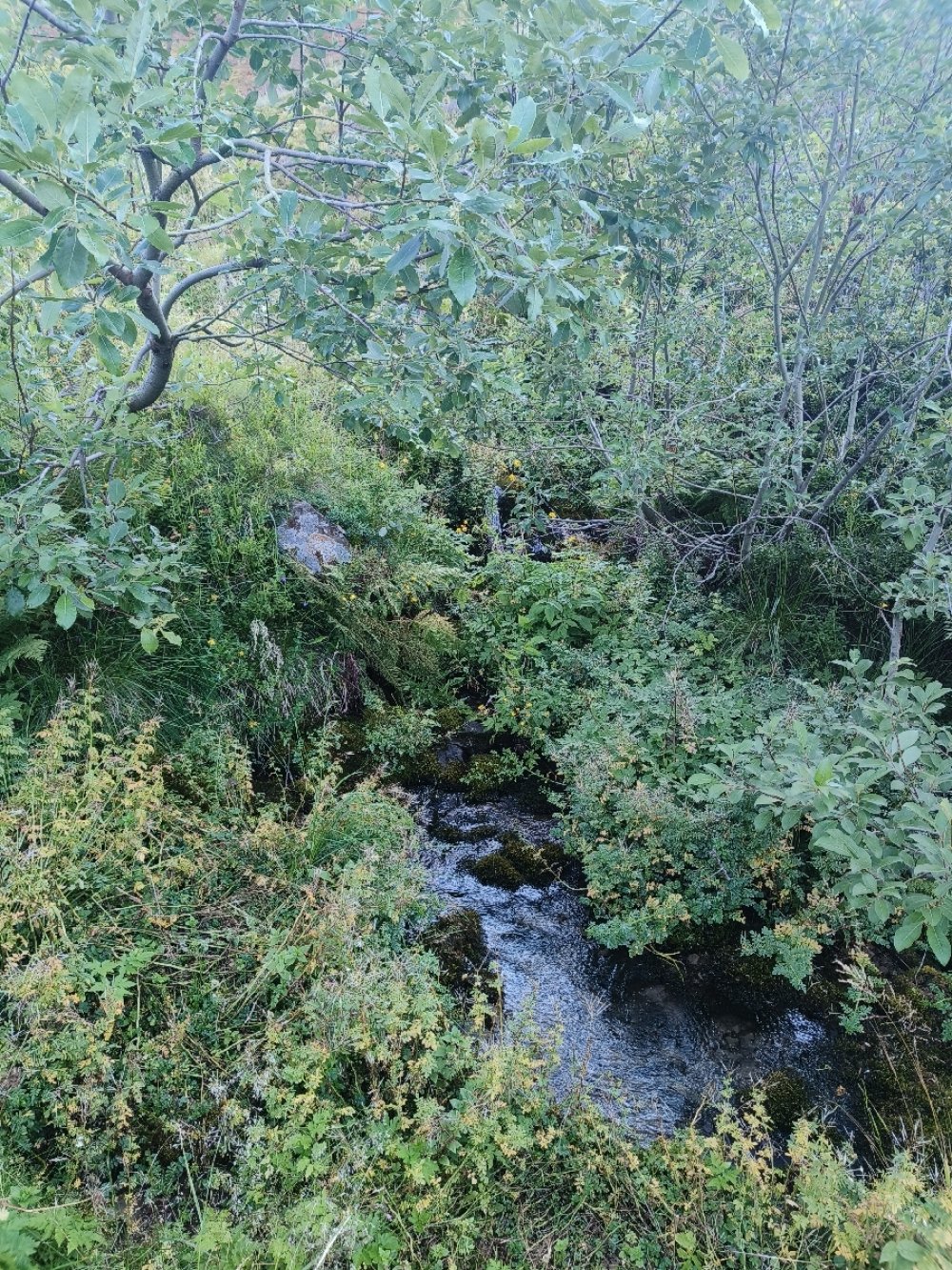 Гарне джерело