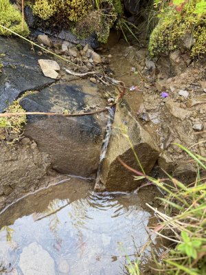 05.08.2026
Вода є, але ледве тече
