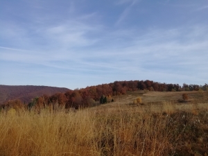 г. Вітрова