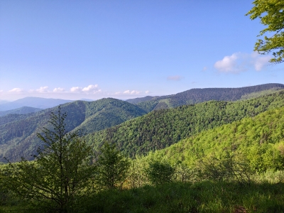 Вид із гори Бовт