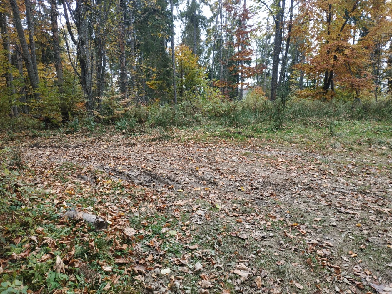 На ліво по гребеню 