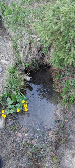 Маленьке, але вода є) 9.06.2022р